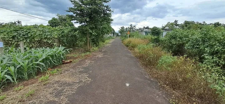 Bất động sản tại Đắk Lắk - ảnh 1
