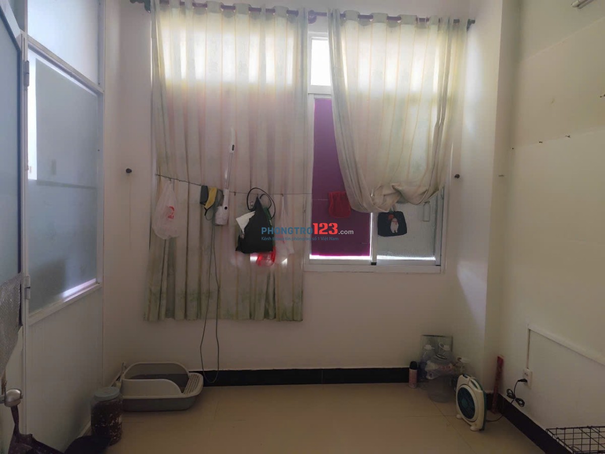 Bất động sản tại TP. Hồ Chí Minh - ảnh 1