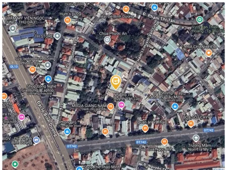 Bất động sản tại Bình Dương - ảnh 1