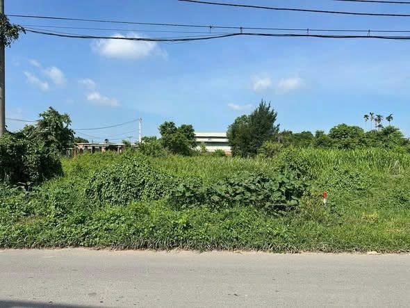Bất động sản tại Bình Dương - ảnh 1