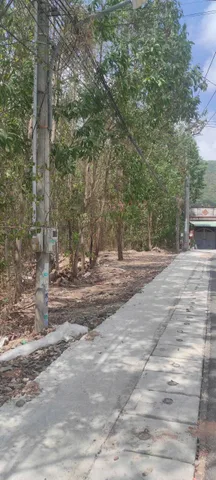 Bất động sản tại Bà Rịa - Vũng Tàu - ảnh 1