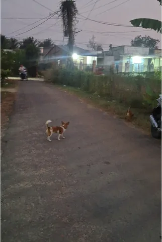 Bất động sản tại Tây Ninh - ảnh 1