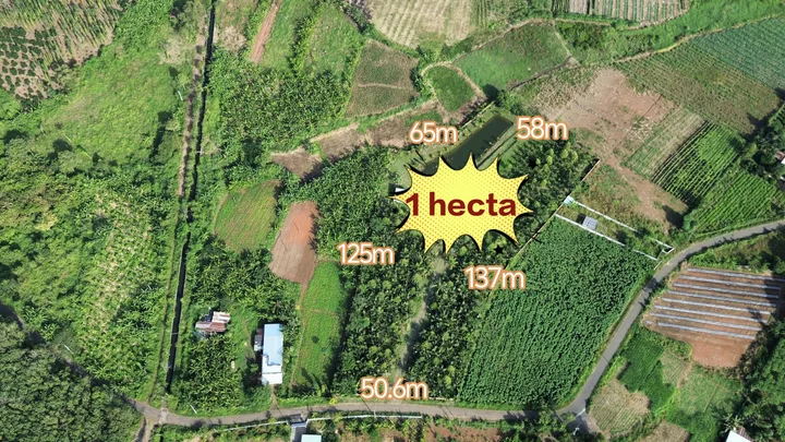 Bất động sản tại Bà Rịa - Vũng Tàu - ảnh 1