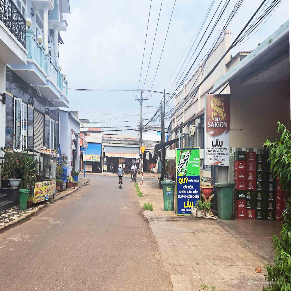 Bất động sản tại Đồng Nai - ảnh 1