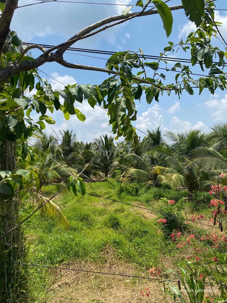 Bất động sản tại Vĩnh Long - ảnh 1