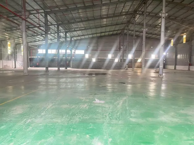Bất động sản tại Bình Dương - ảnh 1