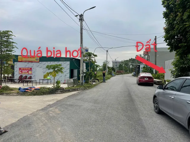 Bất động sản tại Phú Thọ - ảnh 1
