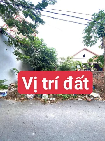 Bất động sản tại Phú Thọ - ảnh 1