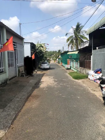 Bất động sản tại Đồng Nai - ảnh 1