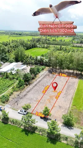 Bất động sản tại Vĩnh Long - ảnh 1