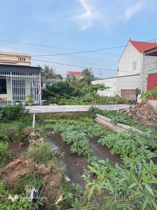 Bất động sản tại Hải Dương - ảnh 1