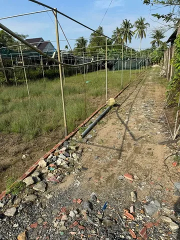 Bất động sản tại Bến Tre - ảnh 1