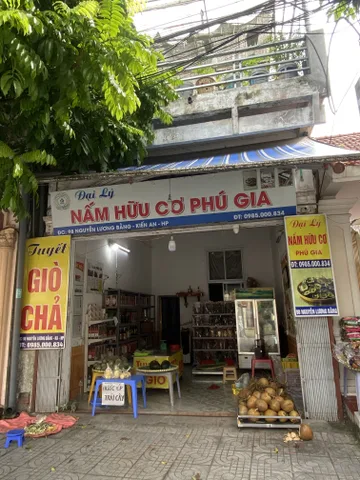 Bất động sản tại Hải Phòng - ảnh 1