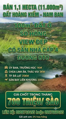 Bất động sản tại Lâm Đồng - ảnh 1