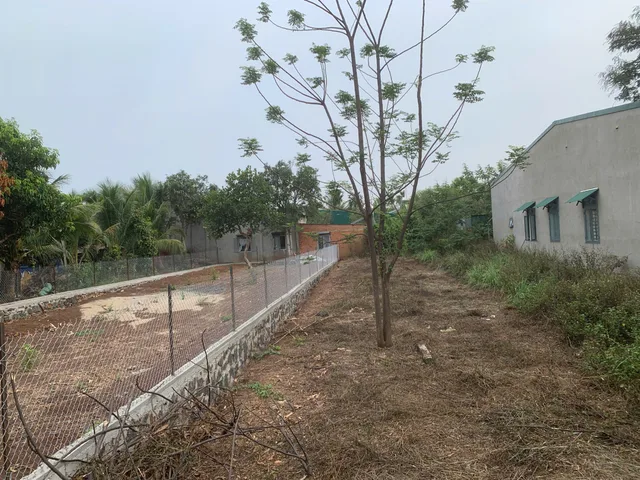 Bất động sản tại Đắk Lắk - ảnh 1