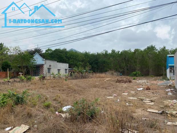 Bất động sản tại Bình Thuận - ảnh 1