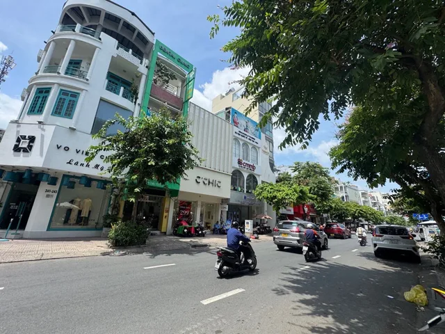 Bất động sản tại TP. Hồ Chí Minh - ảnh 1