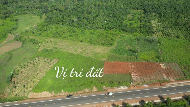 Bất động sản tại Đắk Lắk - ảnh 1