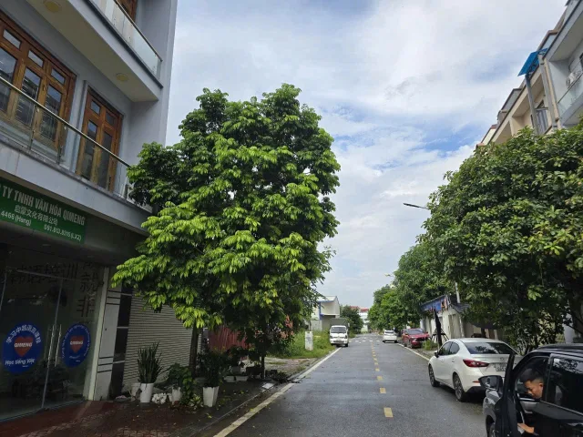 Bất động sản tại Bắc Ninh - ảnh 1