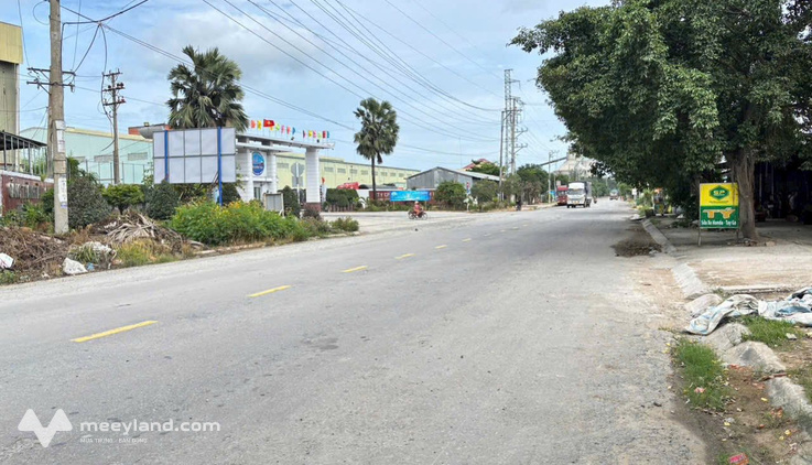 Bất động sản tại Long An - ảnh 1
