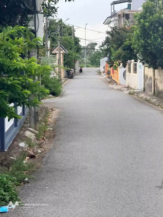 Bất động sản tại Hải Phòng - ảnh 1