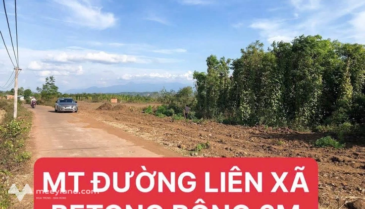 Bất động sản tại Đắk Lắk - ảnh 1