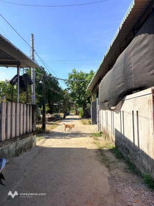 Bất động sản tại Quảng Ngãi - ảnh 1