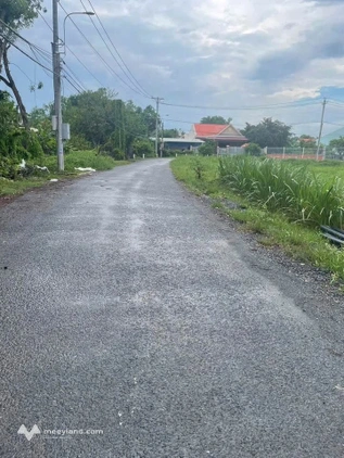 Bất động sản tại Long An - ảnh 1