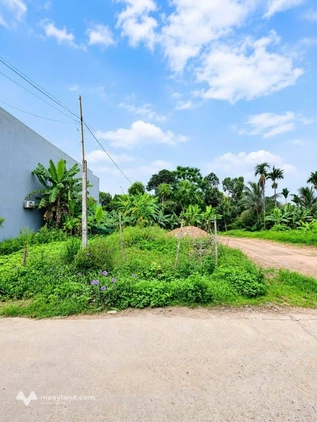 Bất động sản tại Tuyên Quang - ảnh 1