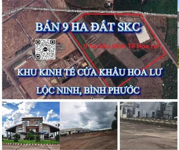 Bất động sản tại Bình Phước - ảnh 1