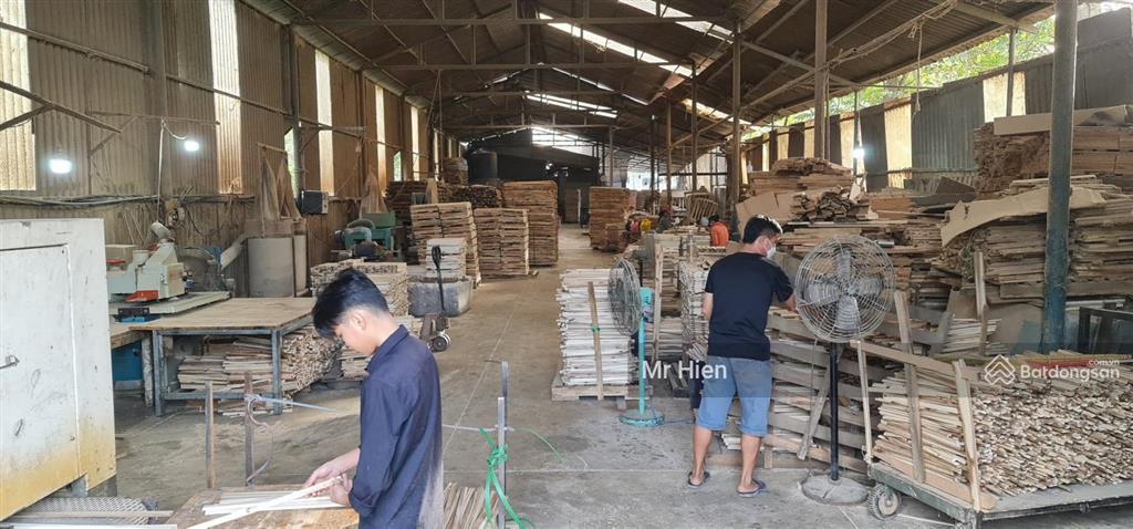 Bất động sản tại Bình Dương - ảnh 1