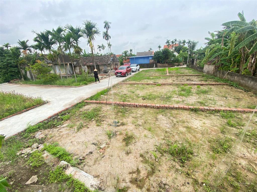 Bất động sản tại Hải Phòng - ảnh 1