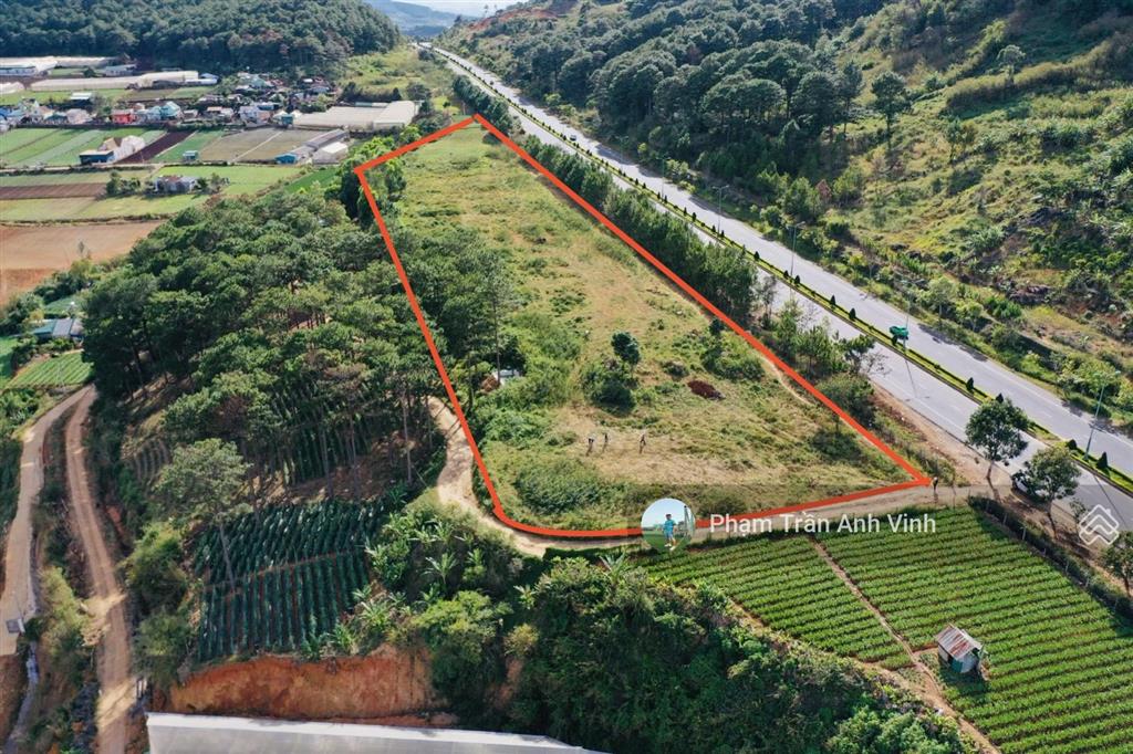 Bất động sản tại Lâm Đồng - ảnh 1