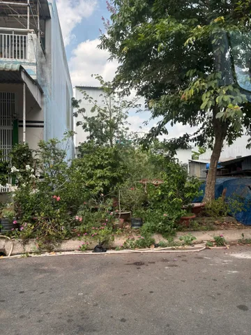 Bất động sản tại Cần Thơ - ảnh 1