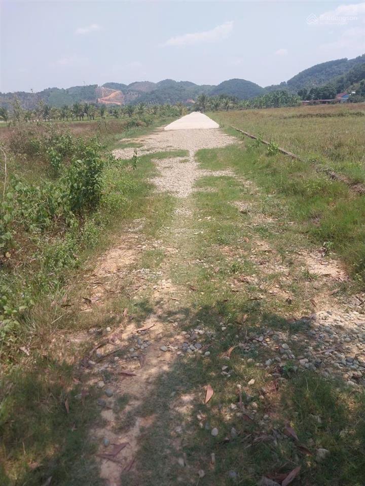 Bất động sản tại Lâm Đồng - ảnh 1