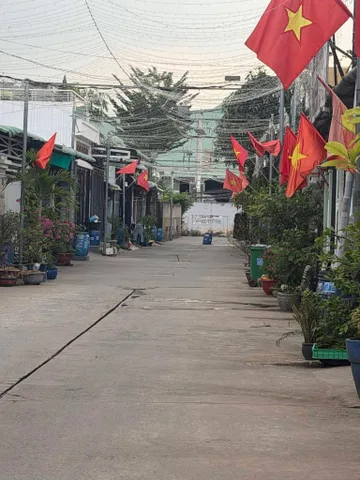 Bất động sản tại Bình Dương - ảnh 1