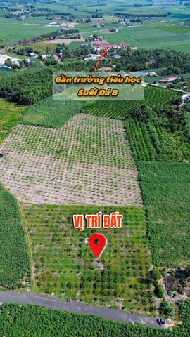 Bất động sản tại Tây Ninh - ảnh 1