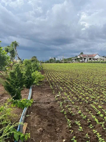 Bất động sản tại Lâm Đồng - ảnh 1
