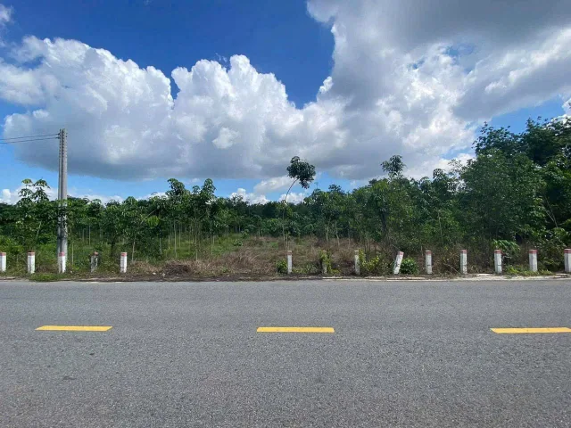 Bất động sản tại Bình Phước - ảnh 1