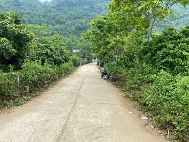 Bất động sản tại Hòa Bình - ảnh 1