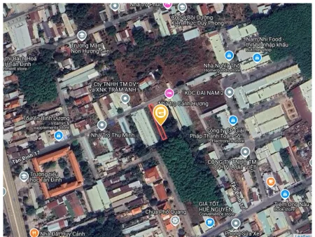Bất động sản tại Bình Dương - ảnh 1