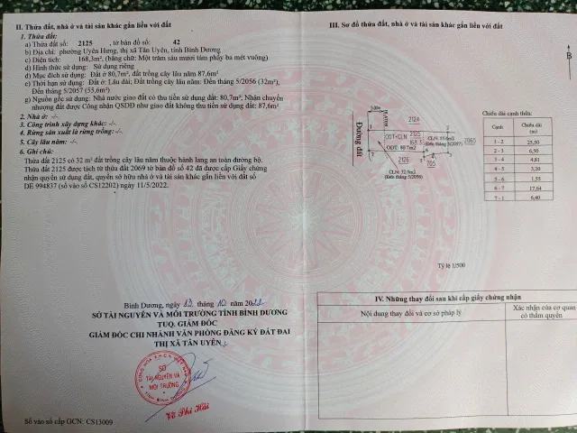 Bất động sản tại Bình Dương - ảnh 1
