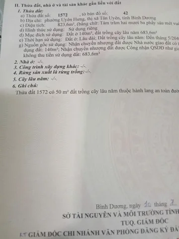 Bất động sản tại Bình Dương - ảnh 1