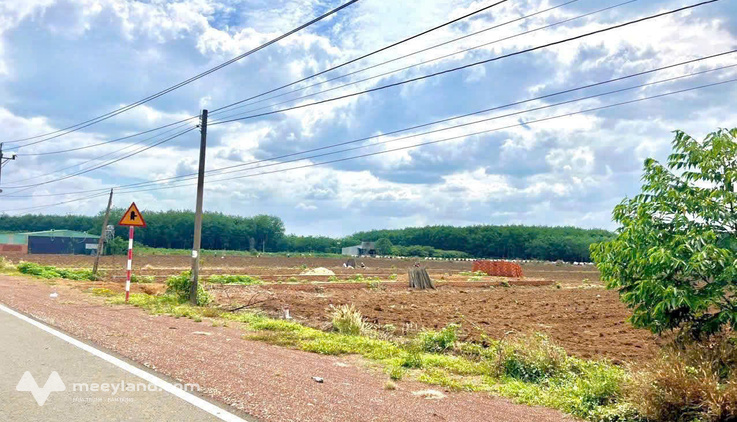 Bất động sản tại Bình Phước - ảnh 1