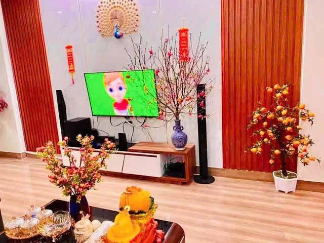 Bất động sản tại Phú Thọ - ảnh 1