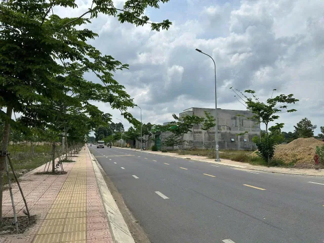Bất động sản tại Đồng Nai - ảnh 1