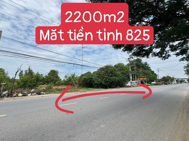 Bất động sản tại Tây Ninh - ảnh 1