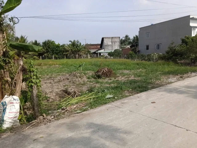 Bất động sản tại Long An - ảnh 1