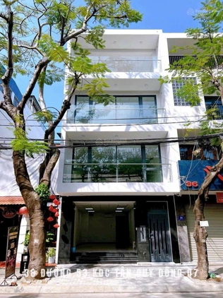 Bất động sản tại TP. Hồ Chí Minh - ảnh 1