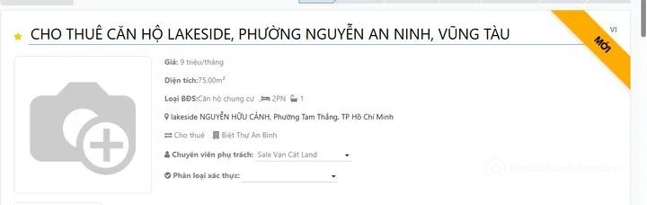 Bất động sản tại TP. Hồ Chí Minh - ảnh 1